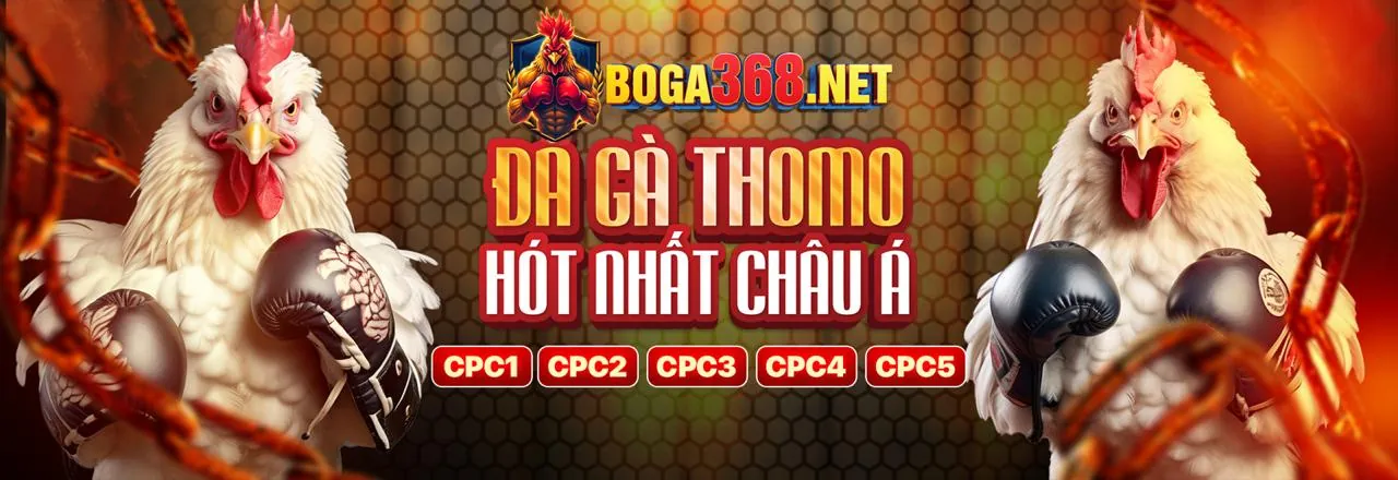 Chương trình VIP Ban Ca30
